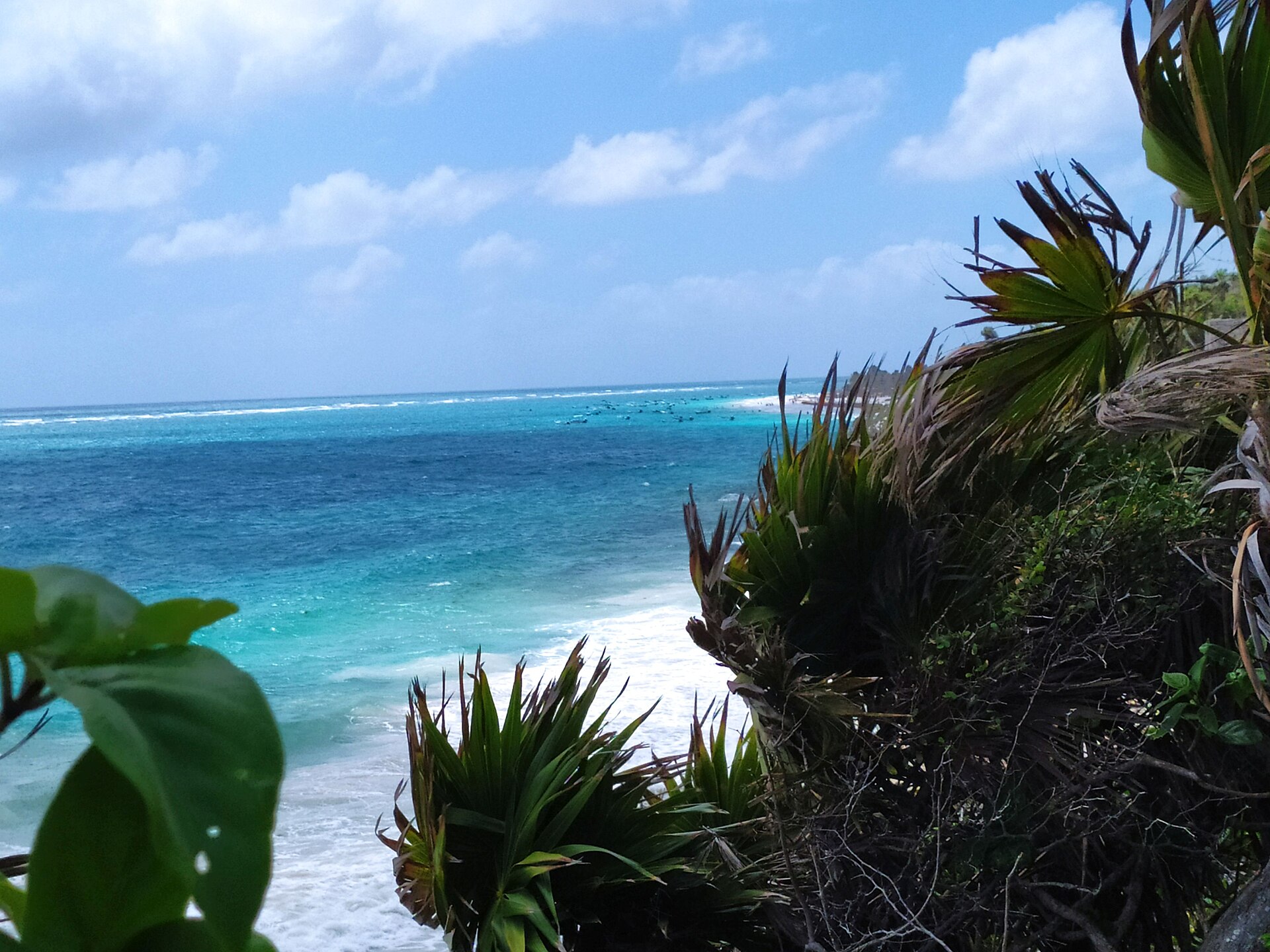 White sand and turquoise water along the Tulum coastline